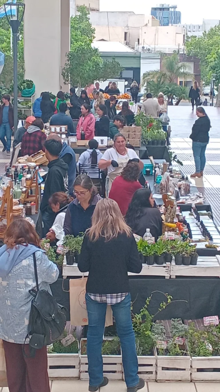 Feria Agroproductiva: de los productores a la mesa