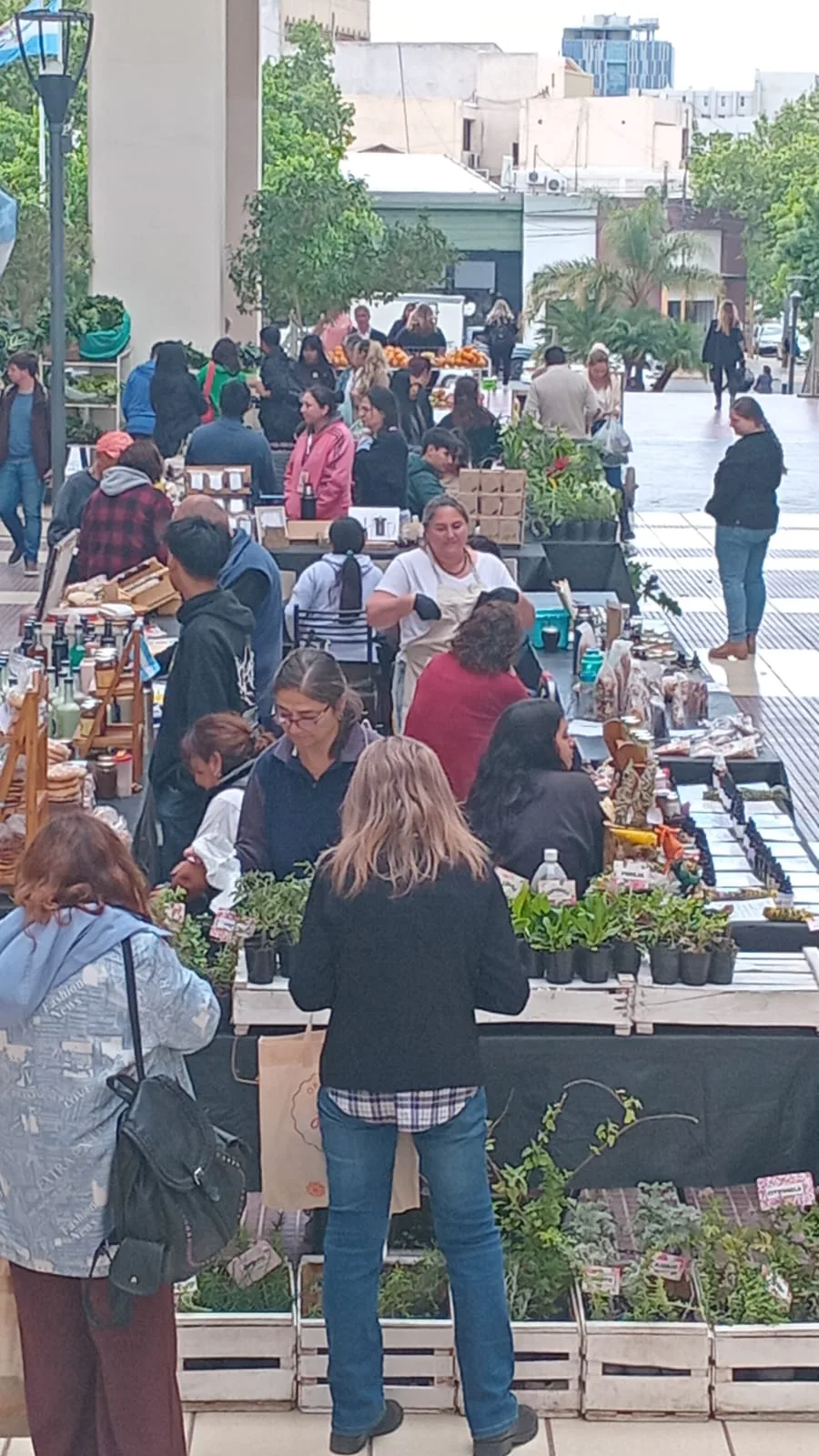 Feria Agroproductiva: de los productores a la mesa