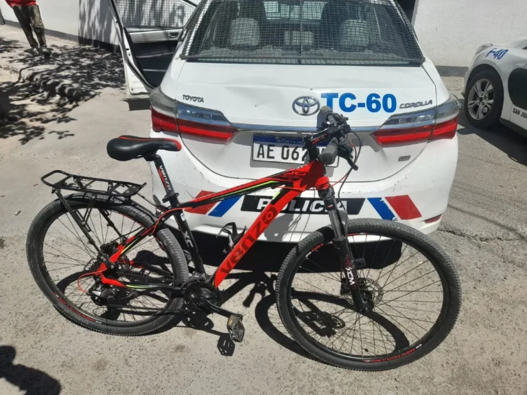 Se metió a una casa ajena y se robó una bicicleta: le salió mal
