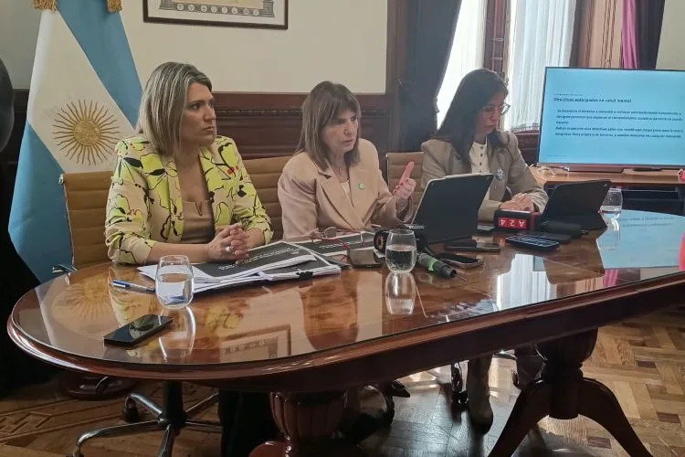 Presentaron los cambios de la reforma a la Ley de Salud Mental y quieren llevarlo al recinto la próxima semana