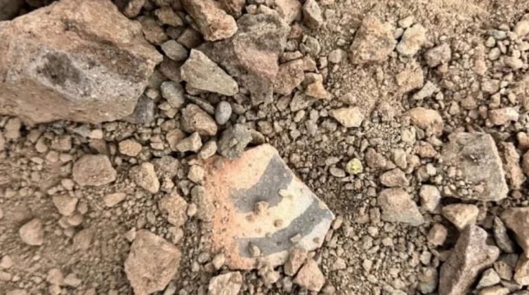 Gendarmería halló restos arqueológicos en la cordillera de Calingasta