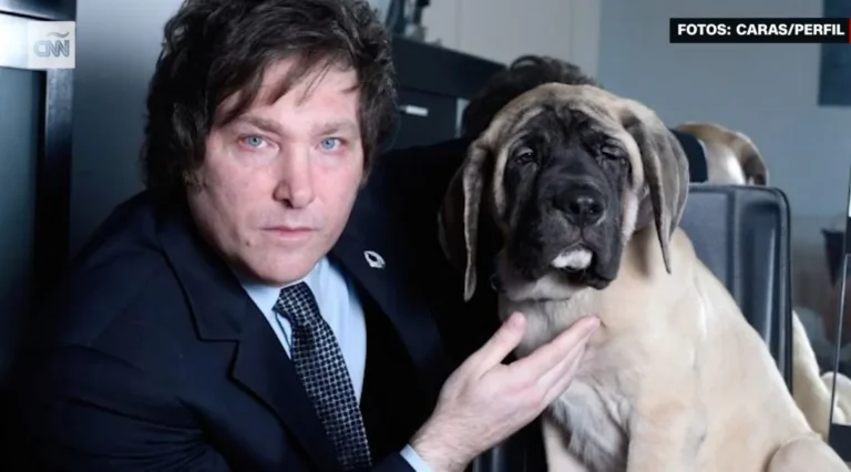 Una médium contó al New York Times cómo Milei la contrató para hablar con sus perros