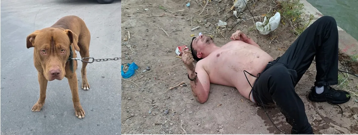 Intentó salvar a su perro, cayó a un canal y tuvo que ser rescatado por la Policía
