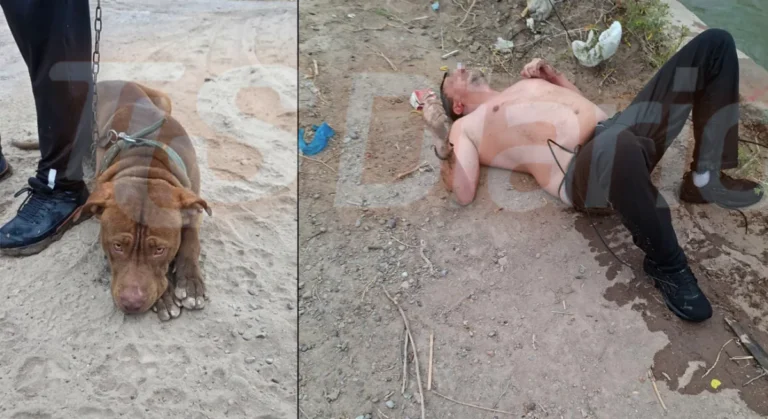 La corriente arrastraba a su perro, se tiró para salvarlo y casi se ahoga en el canal Benavídez: policías se arrojaron al cauce y los rescataron