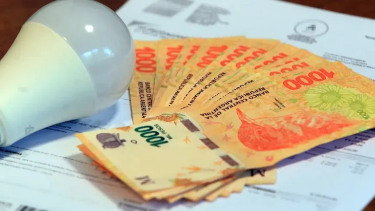 El FMI cuestionó los subsidios a las tarifas y pidió reemplazarlos por ayudas focalizadas